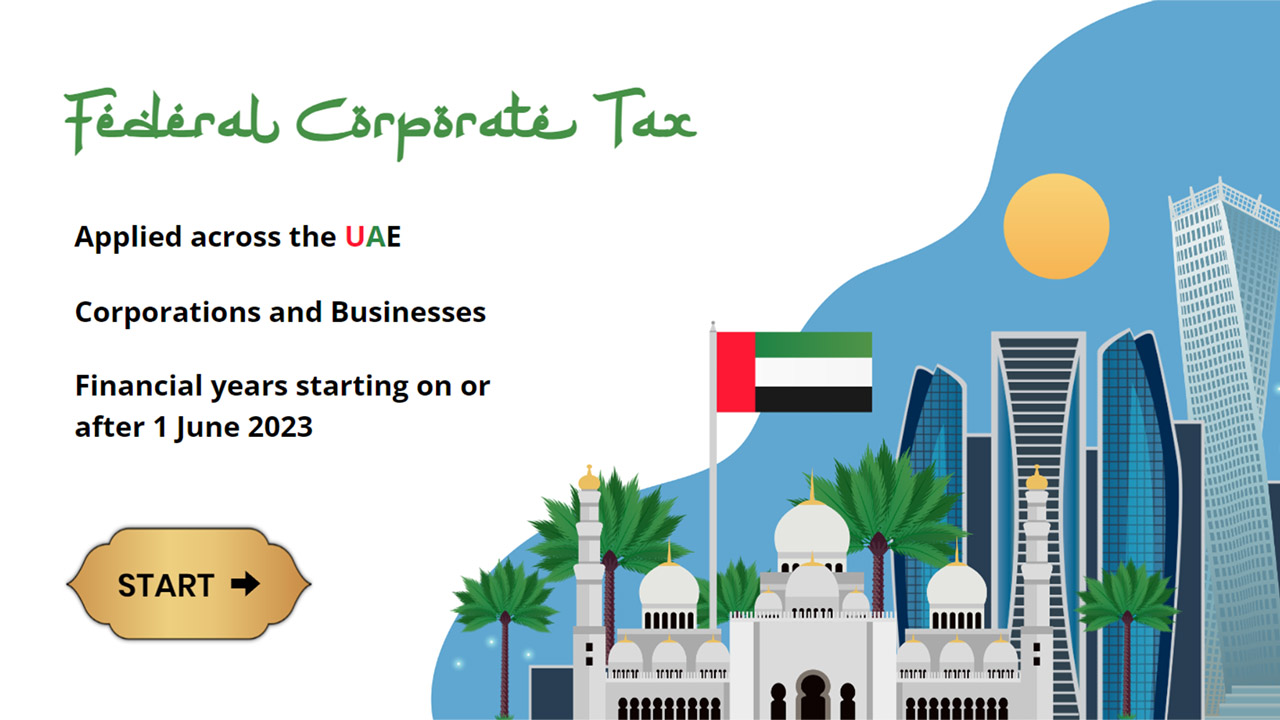 UAE Tax Game